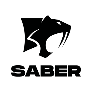 Saber Interactive